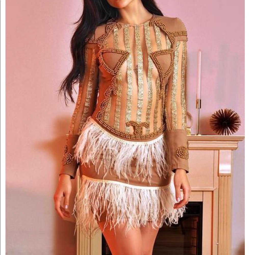 Long Sleeve feather dress